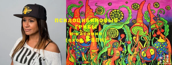ECSTASY Баксан