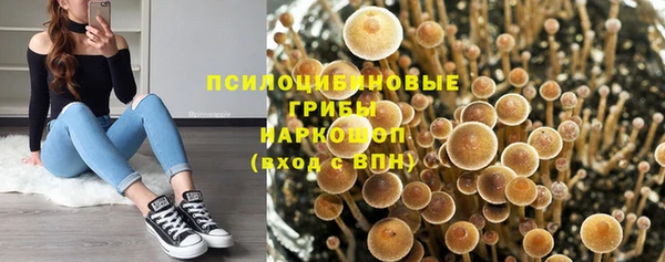 a pvp Белокуриха