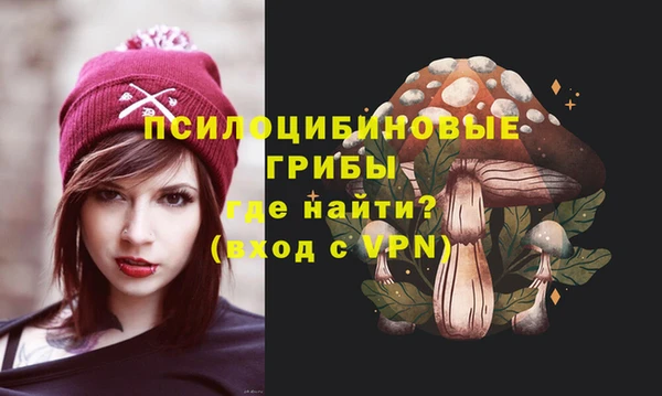 a pvp Белокуриха