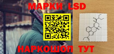 a pvp Бийск