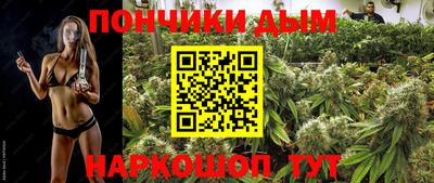 a pvp Бийск