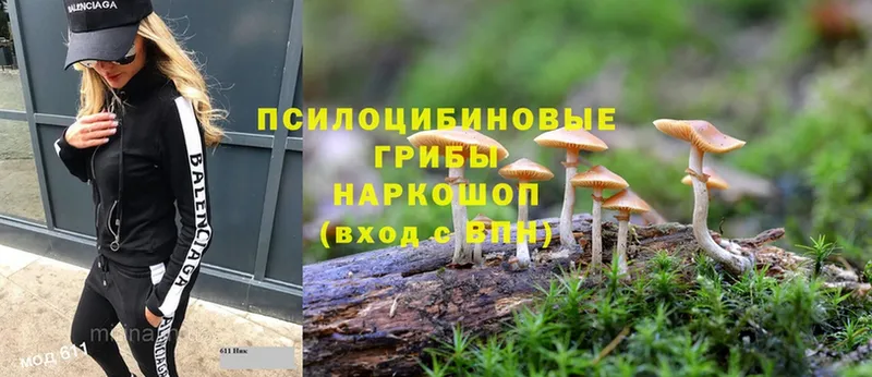 Галлюциногенные грибы Psilocybine cubensis  Верхняя Пышма 