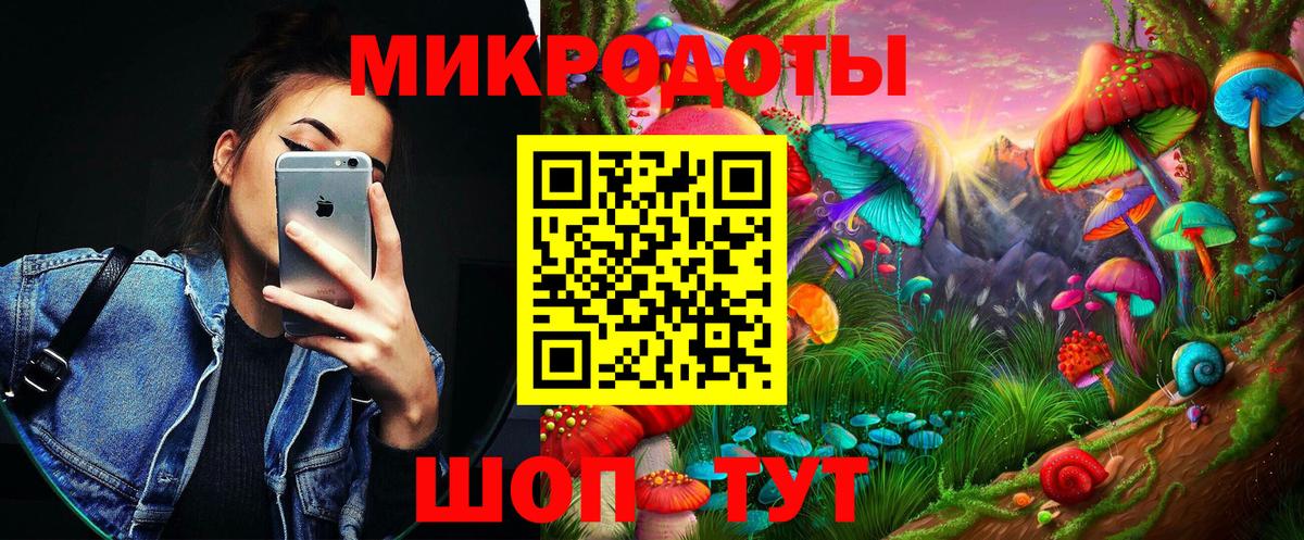 купить наркотики цена  Галлюциногенные грибы мицелий  Вход с VPN  Верхняя Пышма  Псилоцибиновые грибы Psilocybine cubensis 