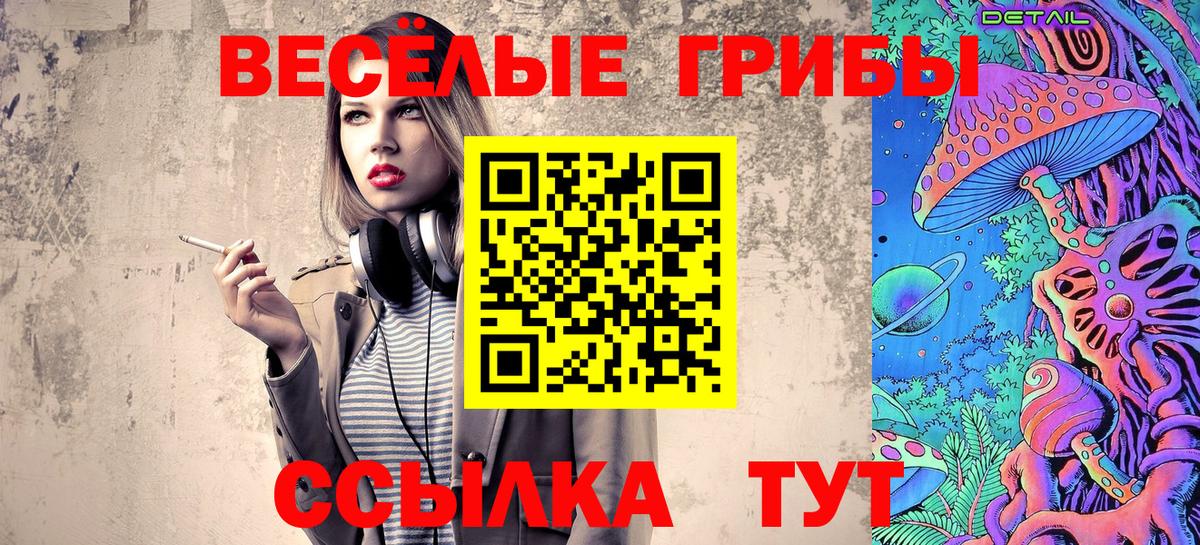 Псилоцибиновые грибы GOLDEN TEACHER Верхняя Пышма