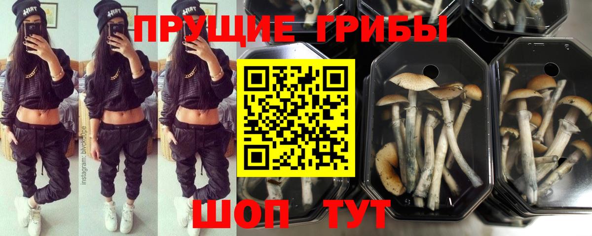 Галлюциногенные грибы MAGIC MUSHROOMS Верхняя Пышма