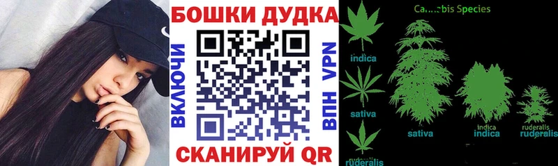 Канабис SATIVA & INDICA гидра tor Верхняя Пышма хочу наркоту